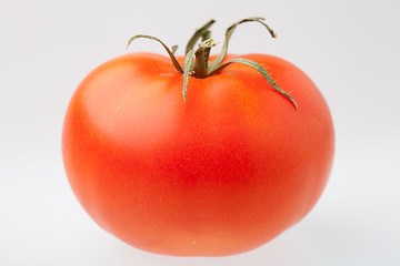 Image showing Tomato