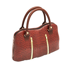 Image showing Crocodile leather handbag isolated