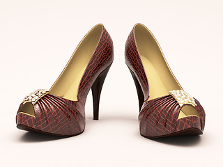 Image showing Crocodile leather women's shoes with high heels