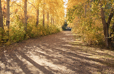 Image showing Autumn landscape