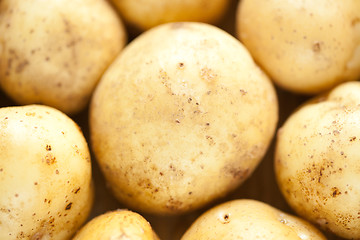 Image showing Fresh potatoes