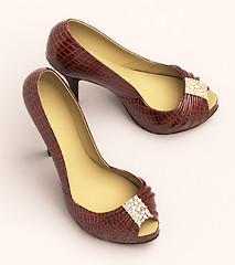 Image showing Crocodile leather women's shoes with high heels