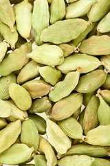 Image showing Cardamom whole