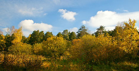 Image showing Autumn landscape