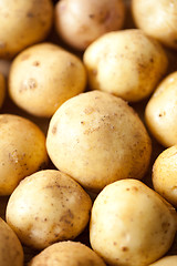 Image showing Potatoes close-up