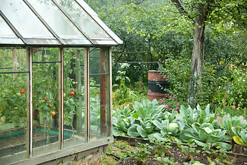 Image showing Vegetable garden
