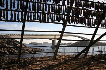 Image showing drying rack and bridge