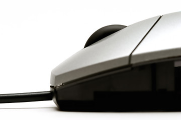 Image showing macro mouse 2