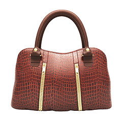 Image showing Crocodile leather handbag isolated