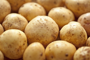 Image showing Fresh potatoes