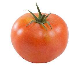 Image showing One tomato isolated