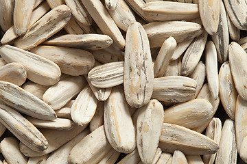 Image showing Sunflower seeds