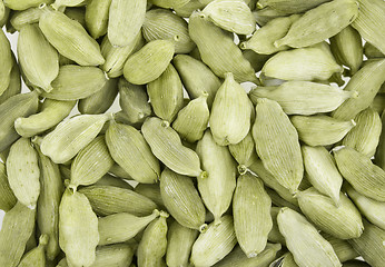 Image showing Cardamom whole