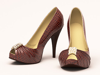 Image showing Crocodile leather women's shoes with high heels