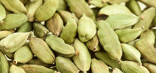 Image showing Cardamom whole