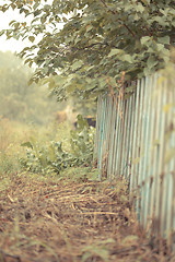 Image showing Old rickety fence