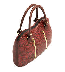 Image showing Crocodile leather handbag isolated