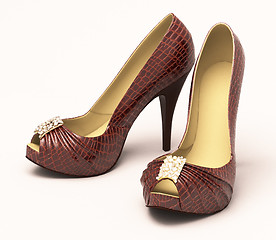 Image showing Crocodile leather women's shoes with high heels