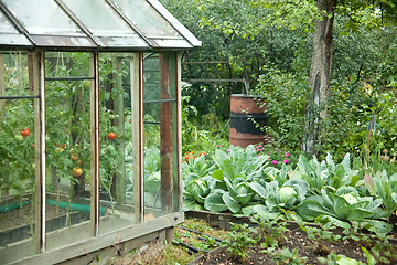 Image showing Vegetable garden
