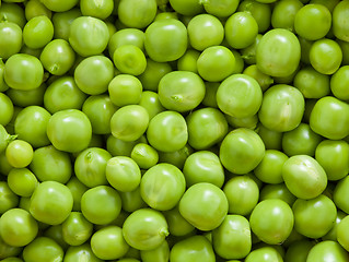 Image showing Green pea