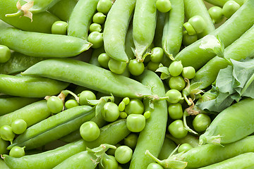 Image showing Green peas in the pod