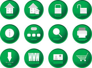 Image showing greenberry buttons web