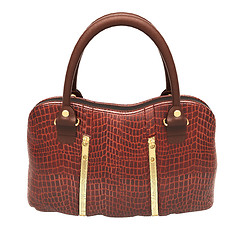 Image showing Crocodile leather handbag isolated