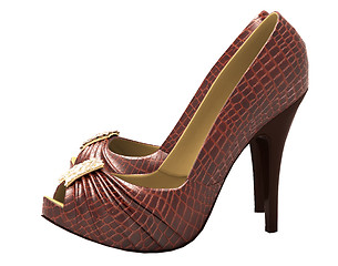 Image showing Crocodile leather women's shoes with high heels