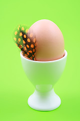 Image showing egg