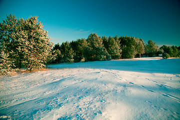 Image showing Winter landscape