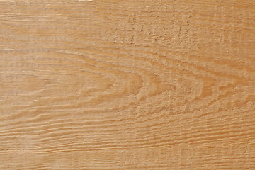 Image showing Birch texture