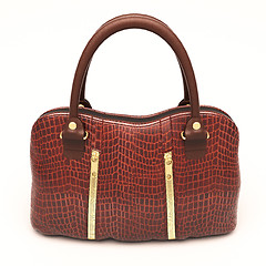 Image showing Crocodile leather handbag isolated