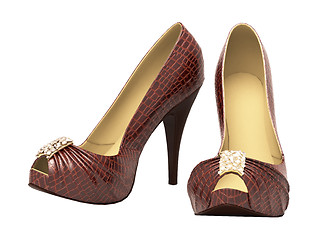 Image showing Crocodile leather women's shoes with high heels