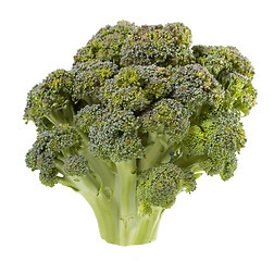 Image showing Broccoli isolated