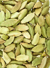 Image showing Cardamom whole