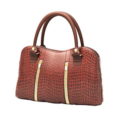 Image showing Crocodile leather handbag isolated