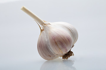 Image showing Clove garlic