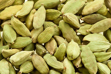 Image showing Cardamom whole