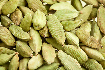 Image showing Cardamom whole