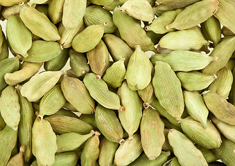 Image showing Cardamom whole