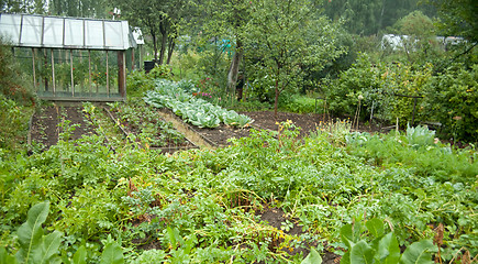 Image showing Vegetable garden