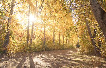 Image showing Autumn landscape