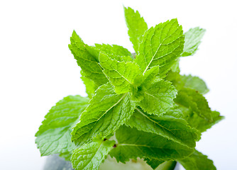 Image showing Fresh mint leaves