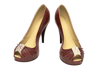 Image showing Crocodile leather women's shoes with high heels