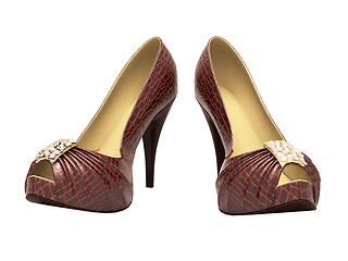 Image showing Crocodile leather women's shoes with high heels