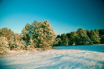 Image showing Winter landscape