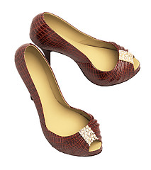 Image showing Crocodile leather women's shoes with high heels