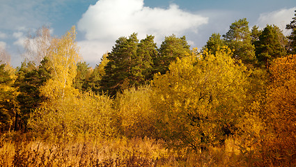 Image showing Autumn landscape