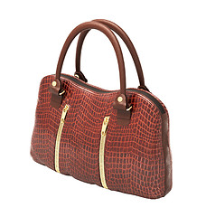 Image showing Crocodile leather handbag isolated