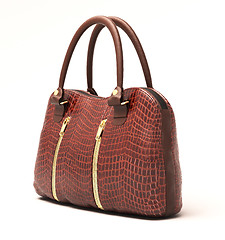 Image showing Crocodile leather handbag isolated